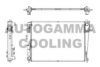 AUTOGAMMA 105395 Radiator, engine cooling